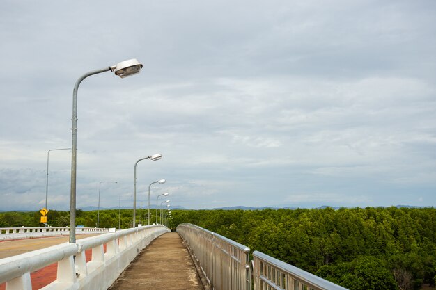 View on the bridge overlooking the nature of Rayong, Thailand