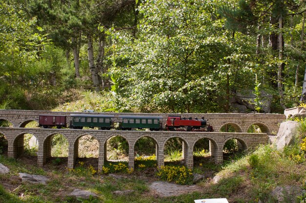 View of bridge in park