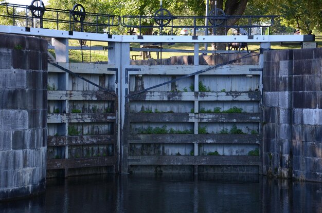 Photo view of bridge over river in forest