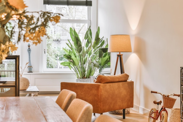 Вид на светлую гостиную с креслом и комнатным растением в современном доме