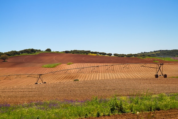 Взгляд на коричневом поле сельского хозяйства и голубом небе