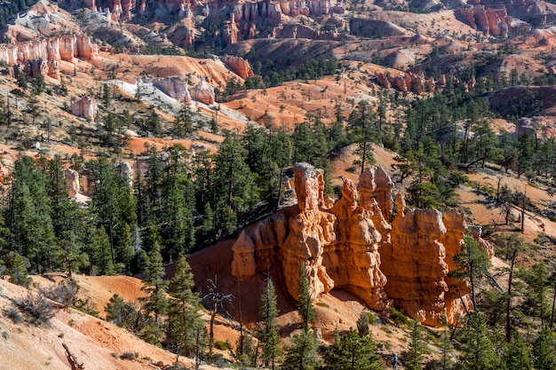 View of Bryce Canyon in Autumn