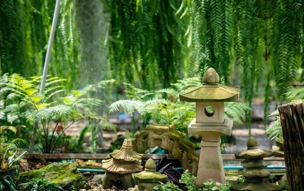 View of buddha statue in forest