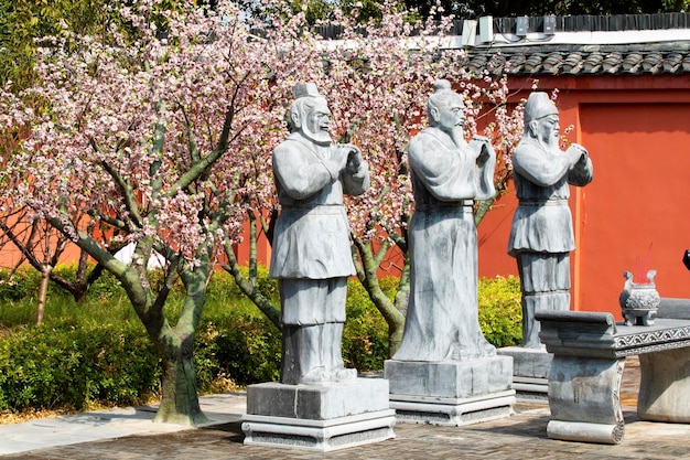 Foto vista della statua di buddha nel parco