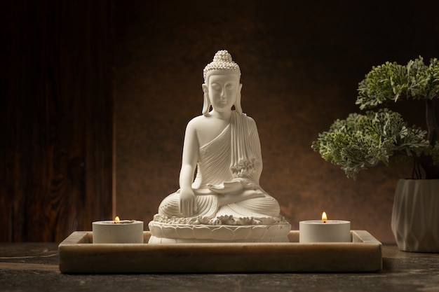 View of buddha statuette with bonsai tree