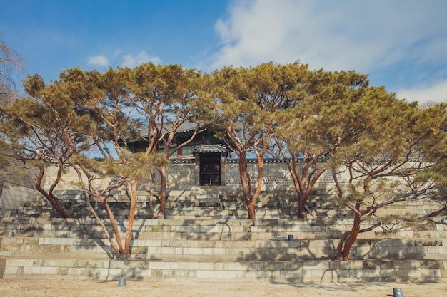 Photo view of building which in changdeokgung palace