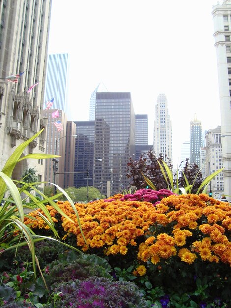 Photo view of buildings in city