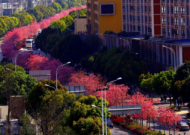 Photo view of buildings in city