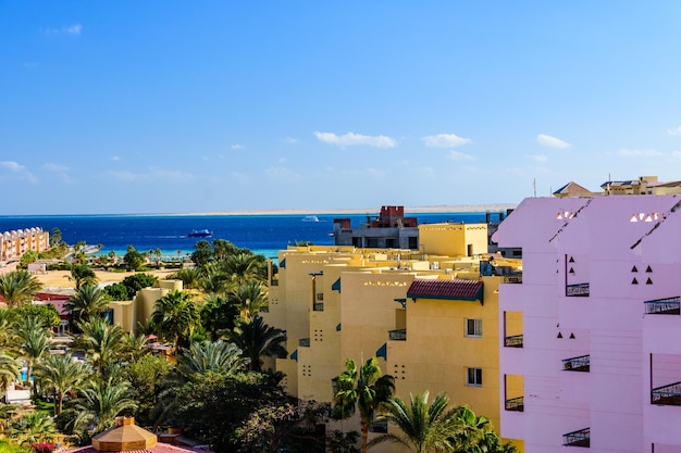 View on a buildings green palm trees and Red sea