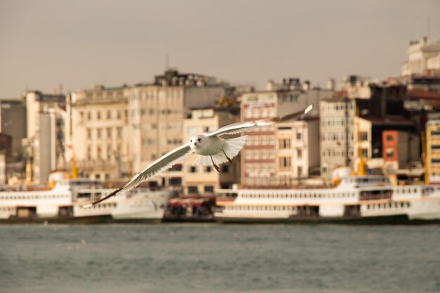 Foto vista degli edifici sul lungomare