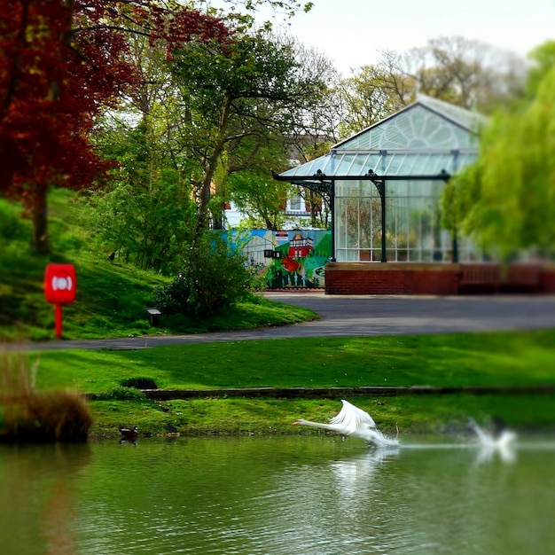 Photo view of built structure in water