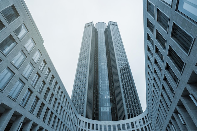 view to a businnes skyscraper in a finance business district. ideal for websites and magazines layouts