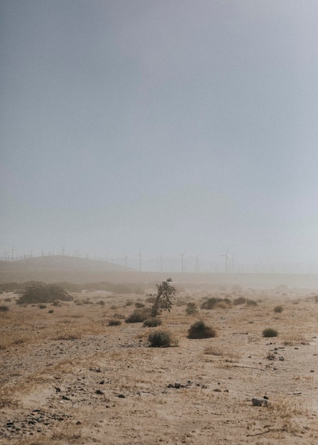 Photo view of the californian desert