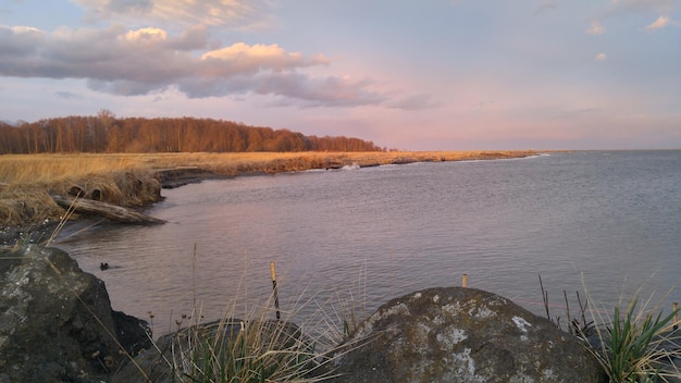 Photo view of calm beach against the sky