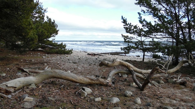 View of calm beach against the sky