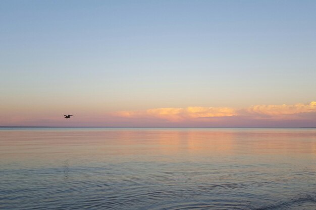 Foto la vista del mare calmo al tramonto