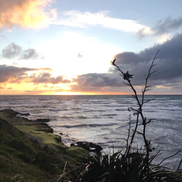 Photo view of calm sea at sunset