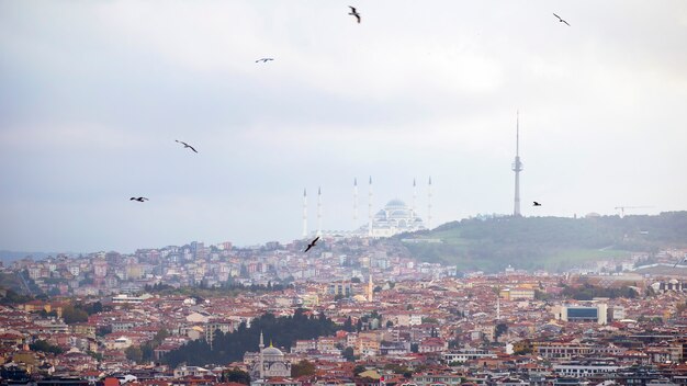 手前に住宅の建物、丘の上の塔、曇りの天気、イスタンブール、トルコと丘の上に位置するカムリカモスクのビュー