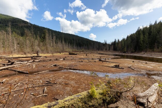 カナダの自然の風景の眺め緑の木々山と水