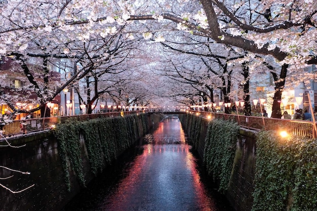 view of canal amidst buildings at night