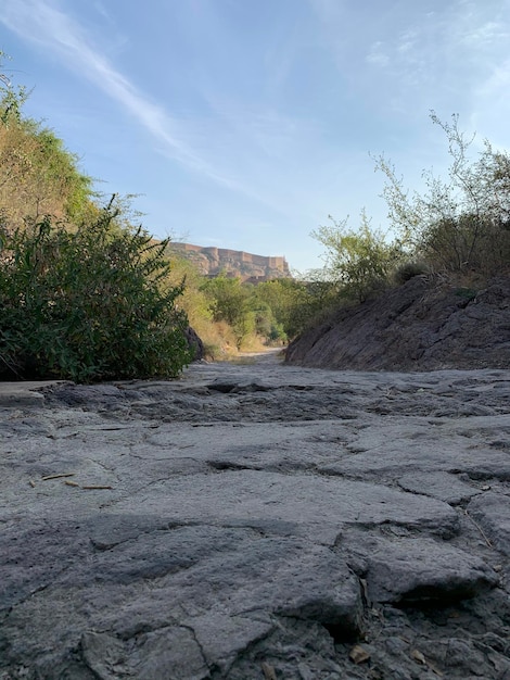 A view of the canyon from the river.