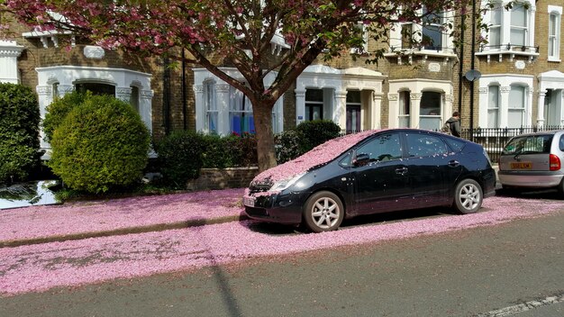 Photo view of car on city street