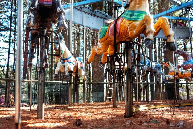 Photo view of carousel at amusement park