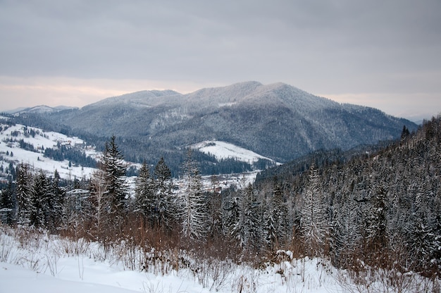 View Carpathian mountains