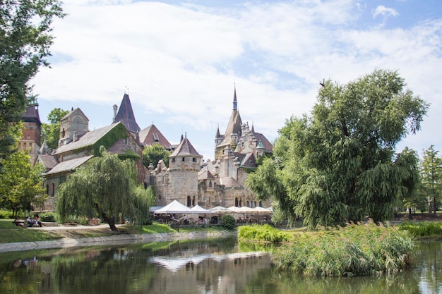 A view of a castle with a castle in the background