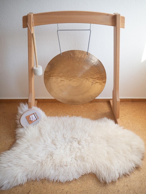 Photo view of a cat relaxing on rug