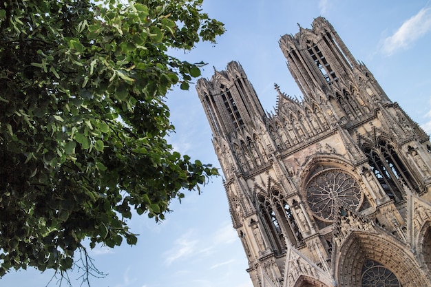 왼쪽에 나무가 있는 노트르담 대성당(Cathedral Notre Dame) 보기, 프랑스 랭스