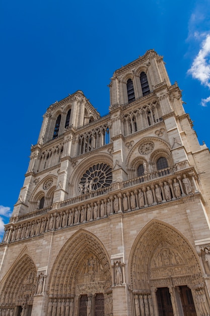 View at Cathedrale Notre Dame de Paris