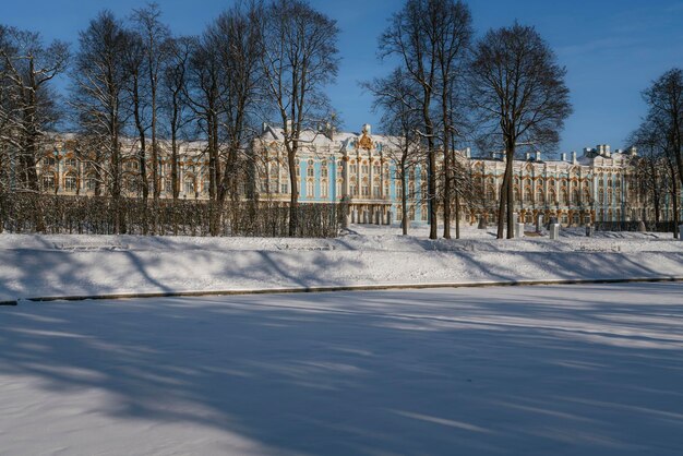 ツァルスコエ・セロのキャサリン宮殿の景色 冬の晴れた日 プッシュキン サンクトペテルブルク ロシア