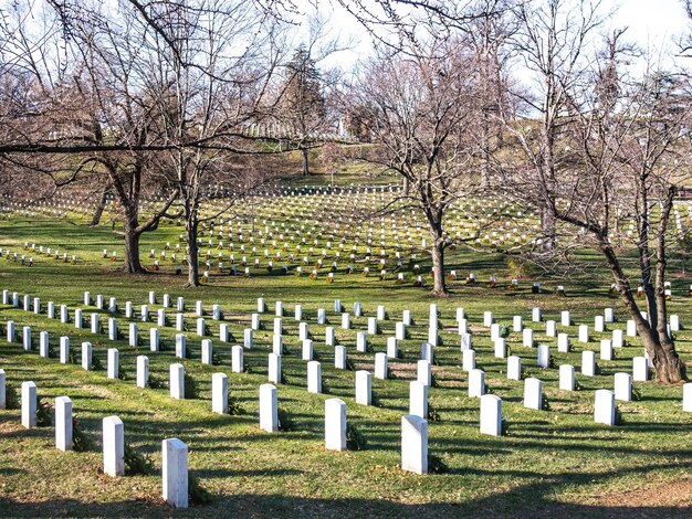 Foto vista del cimitero contro gli alberi nudi