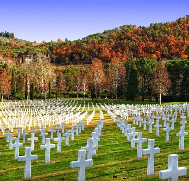 Photo view of cemetery against clear sky