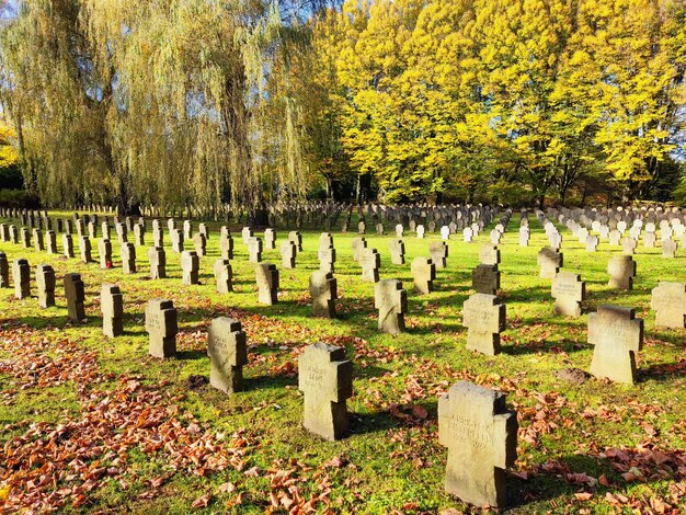 View of cemetery against trees