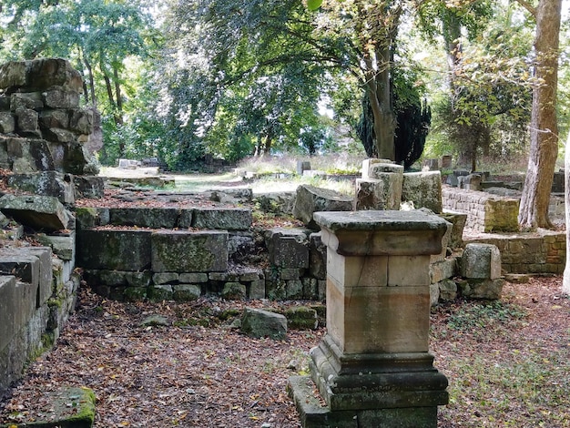 Photo view of cemetery against trees