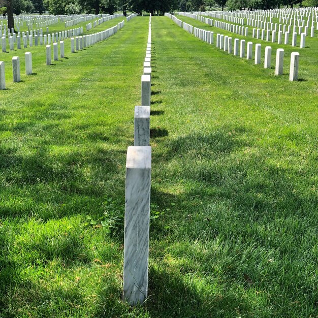 View of cemetery