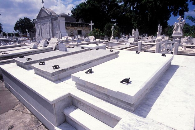 Foto vista del cimitero