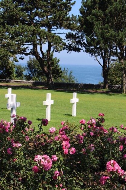 Photo view of cemetery