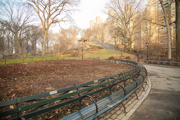 View of Central Park arched benches and dry leaves