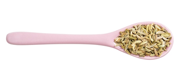 View of ceramic spoon with fennel seeds isolated