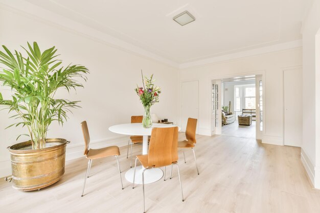 Photo view of chairs at home