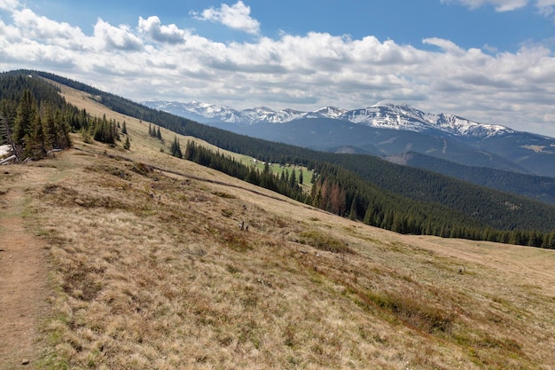 View on a Chornohora mountain range and green meadows