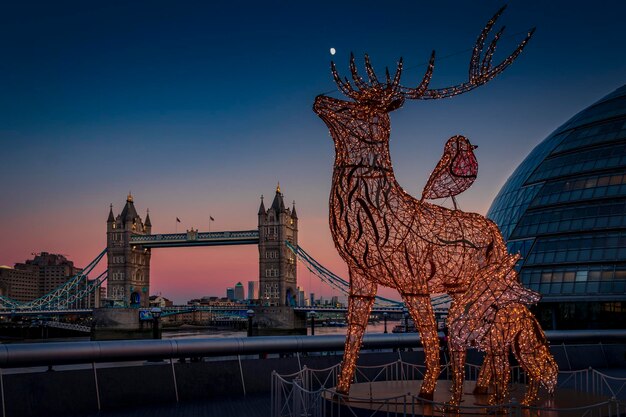 Photo view of christmas decorations in city at night