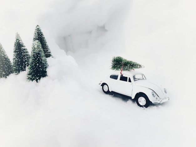 Photo view of christmas tree in snow