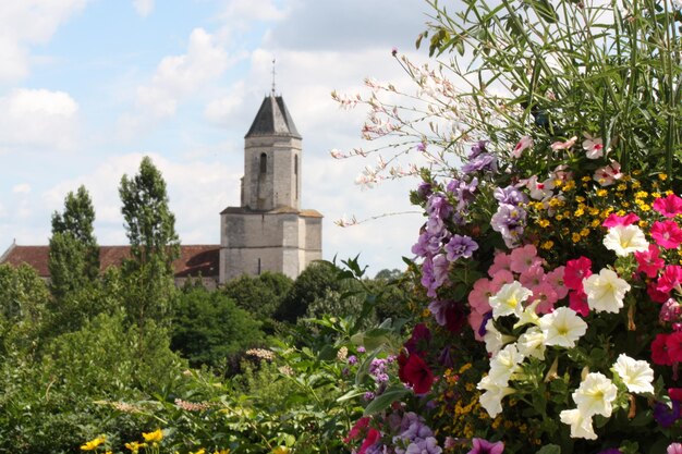 Foto vista della chiesa con alberi e fiori contro un cielo nuvoloso