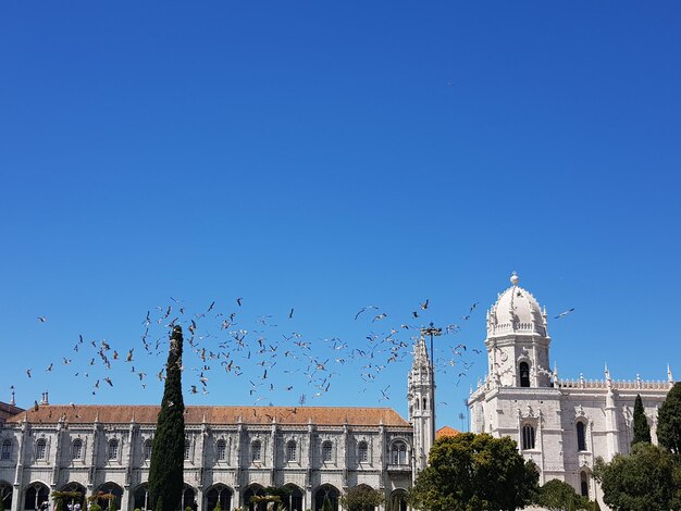 View of churches and seagulls against blue sky in lisbon