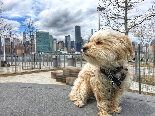 View of city against cloudy sky