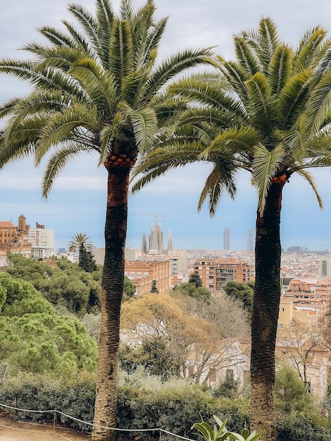 View of the city of Barcelona from afar Spain High quality photo